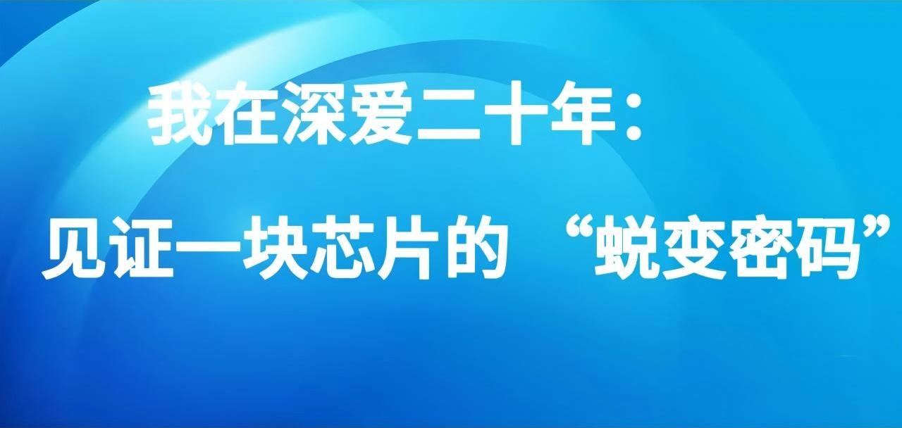 我在深爱二十年：见证一块芯片的 “蜕变密码”