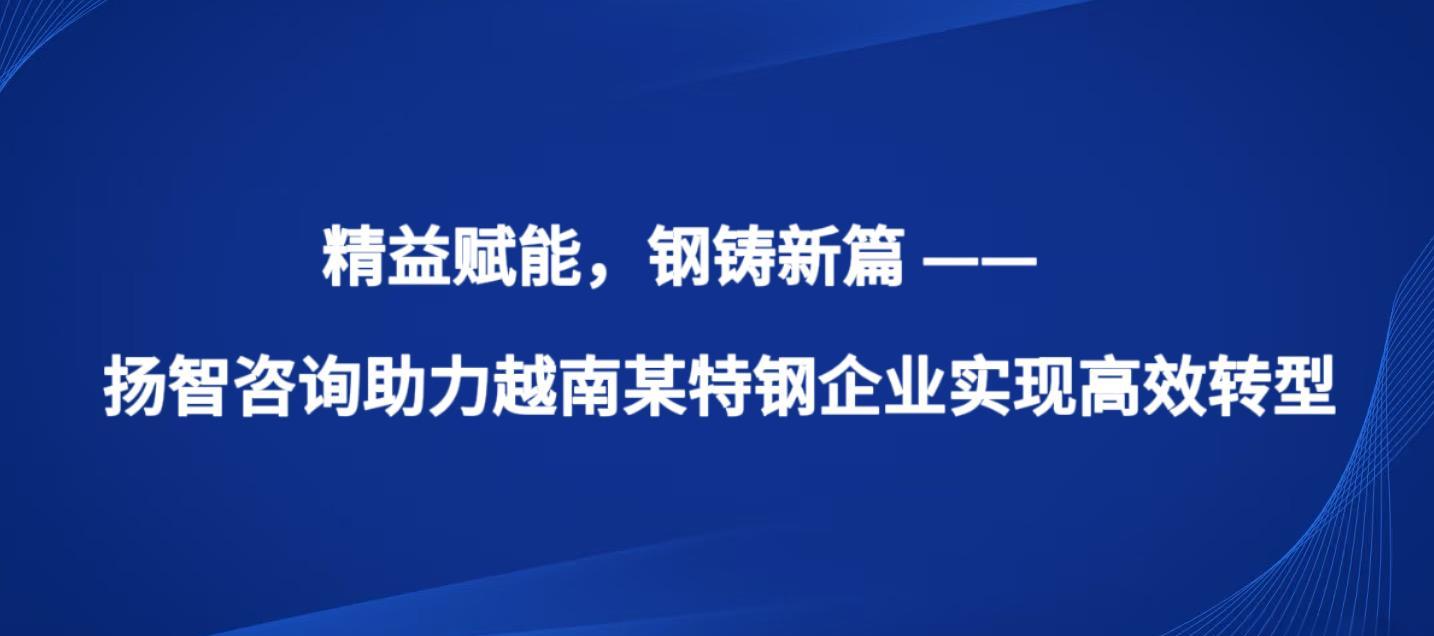 精益赋能，钢铸新篇 —— 扬智咨询助力越南某特钢企业实现高效转型