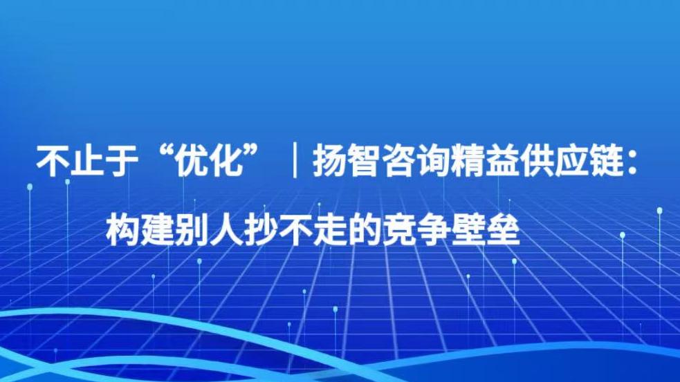 不止于“优化”｜扬智咨询精益供应链：构建别人抄不走的竞争壁垒