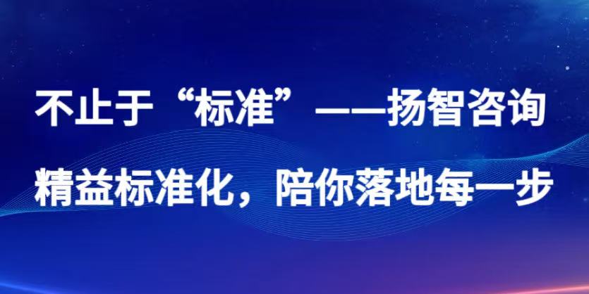 精益标准化之四 不止于“标准”——扬智咨询精益标准化，陪你落地每一步