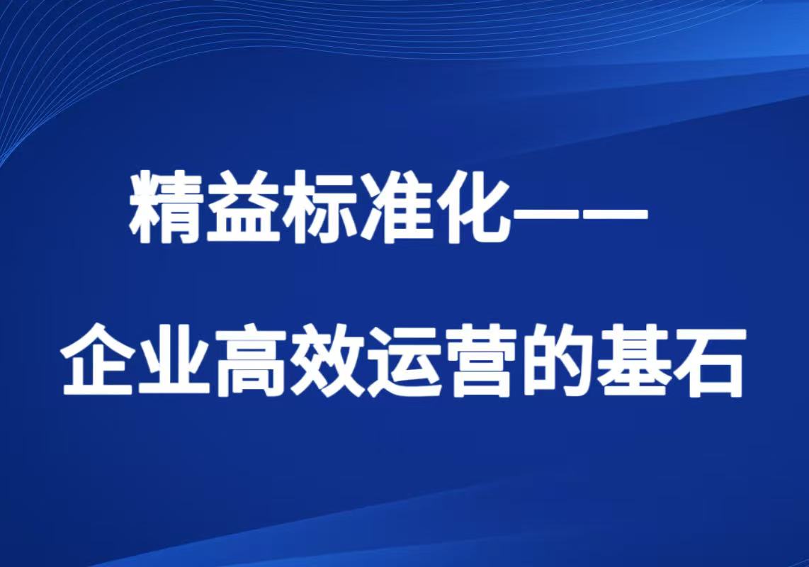 精益标准化——企业高效运营的基石